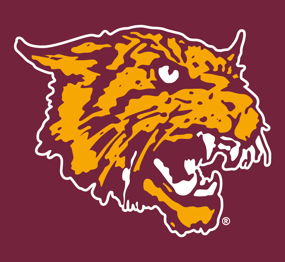 Bethune-Cookman Wildcats 2000-2015 Alternate Logo 02 vinyl decal